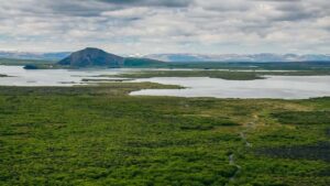 Lög um vernd Mývatns og Laxár voru sett árið 1974 í kjölfar mikillar baráttu bænda í Suður-Þingeyjarsýslu gegn áformum um virkjanir í Mývatnssveit sumarið 1970