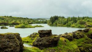Lífríki Mývatns og Laxár er einstakt og ber að vernda, landvernd.is