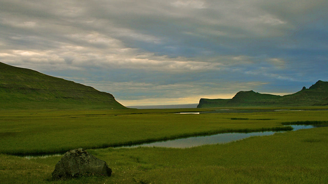 Hornstrandafriðland er einstakt, landvernd.is