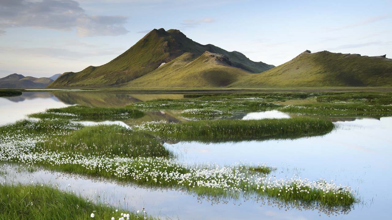 Kýlingar í Friðlandi að Fjallabaki, verndum hjarta landsins, höfnum virkjunum fyrir stóriðju, um 80% rafmagns á íslandi fer til stóriðju, landvernd.is