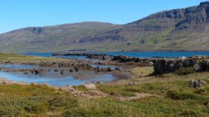 Teigsskógur er náttúrulegur birkiskógur sem vex milli fjalls og fjöru, landvernd.is