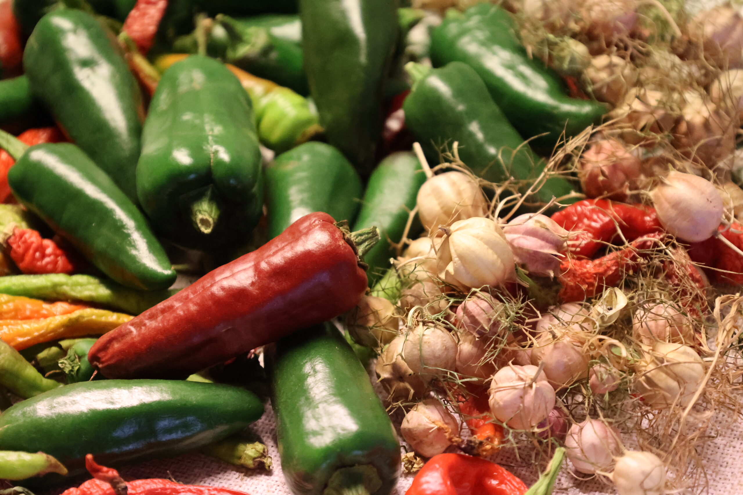 Mynd Sigurður Árni- Alviðra