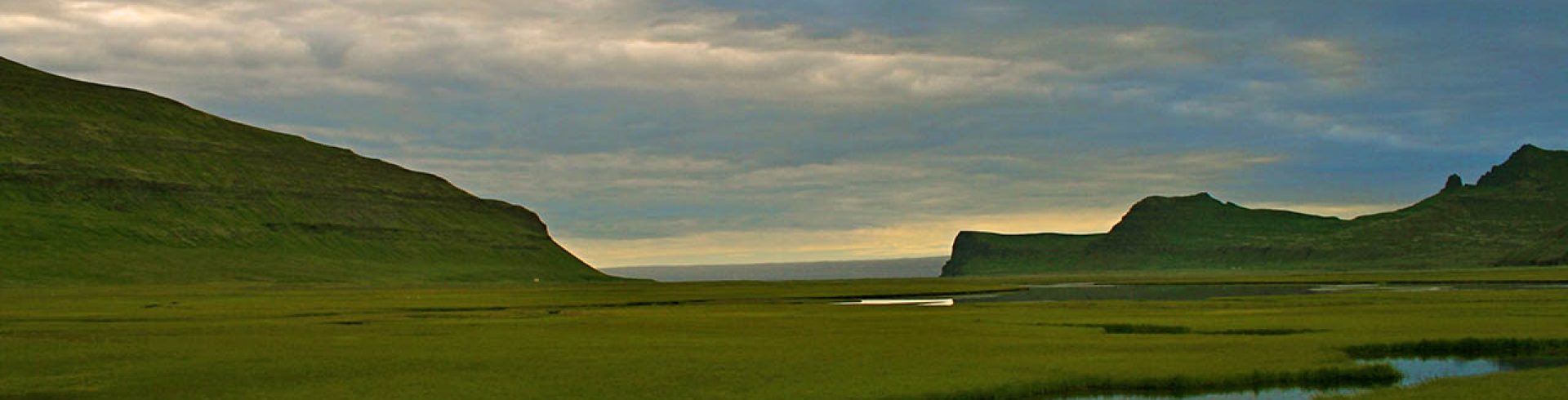 Hornstrandafriðland er einstakt, landvernd.is